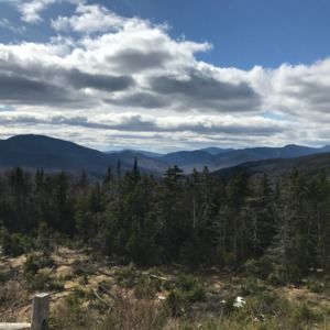 Meet your Posher, Lorin